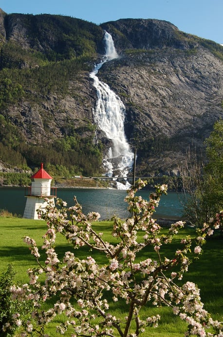 Hike along the mighty Langfoss (waterfall)